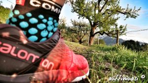 Salomon, Ultra, Trailrunning