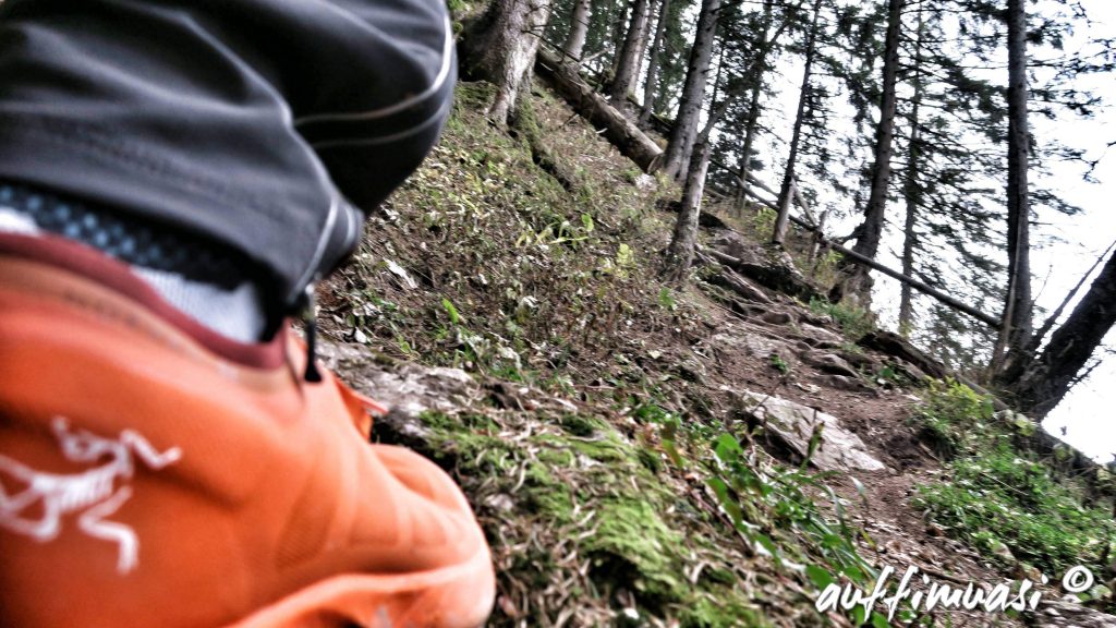 Arc´teryx, trailrunning, laufen, test, norvan, Salomon