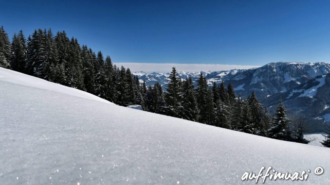 winter, trailrunner, laufen, skimo, skitour