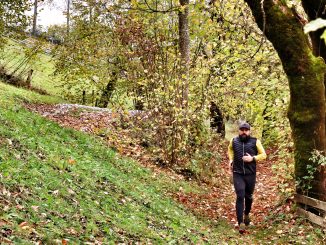 laufen, bänderriss, comeback