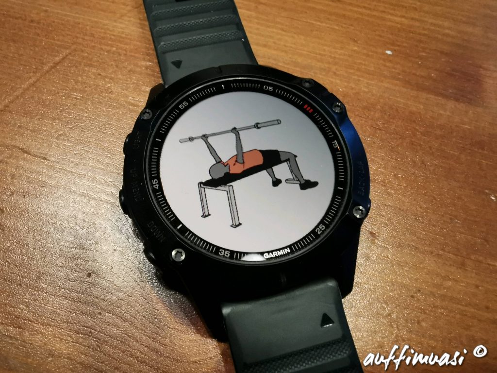 Fenix6