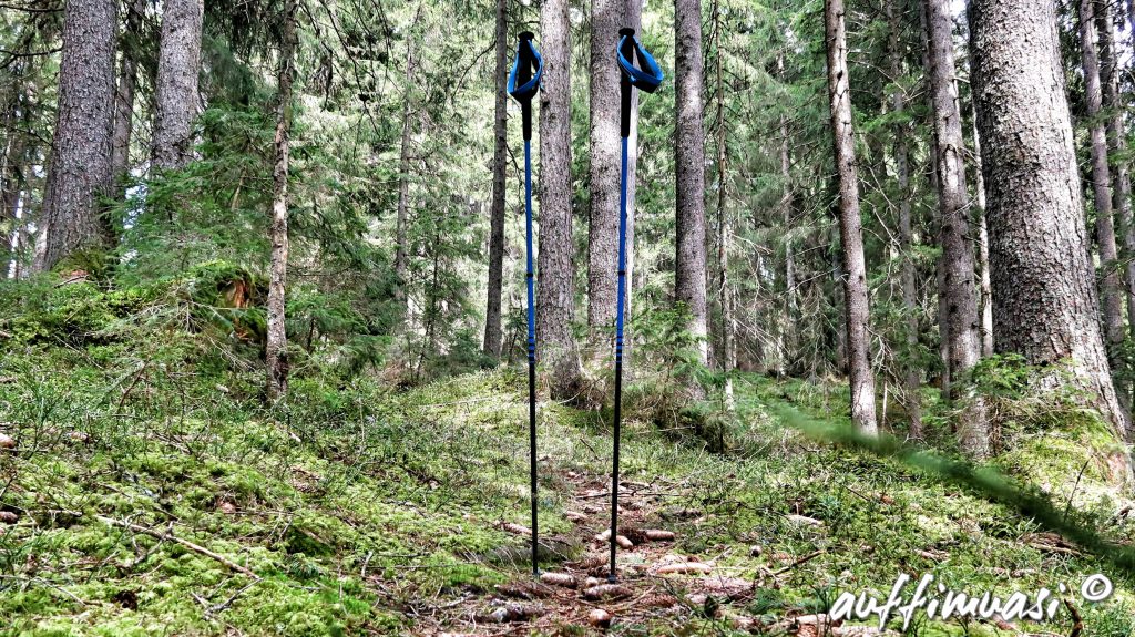 black, diamond, ddistance, carbon, pole, trailrunning