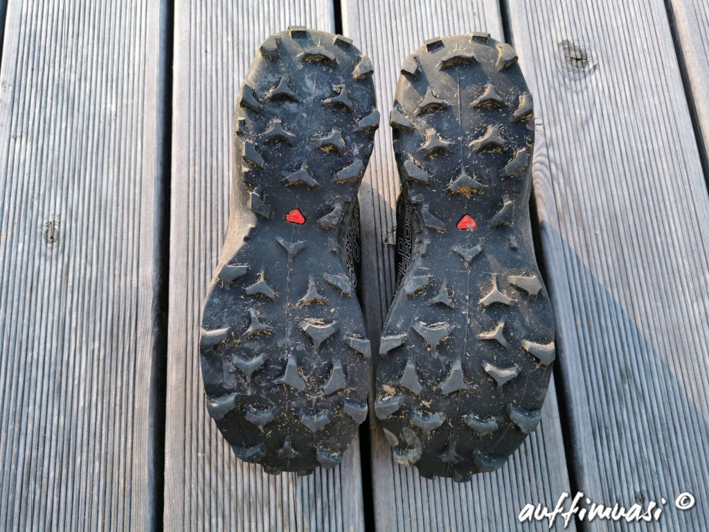 salomon, wildcross, trailrunning, speedcross, laufen