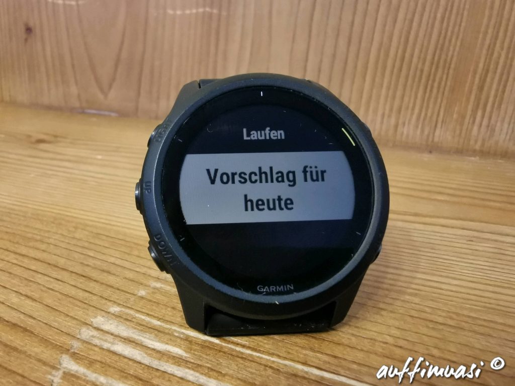 garmin, forerunner, 745, running, laufen