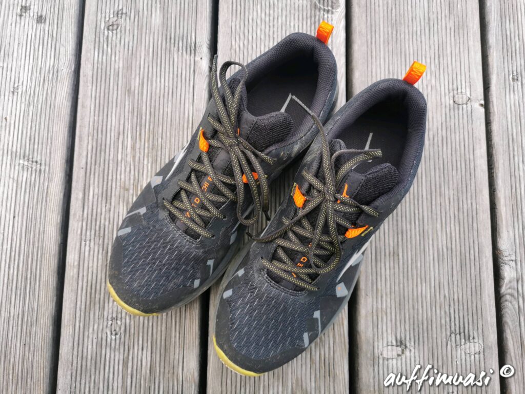 Mizuno, Wave, Daichi, running, laufen, trailrunning