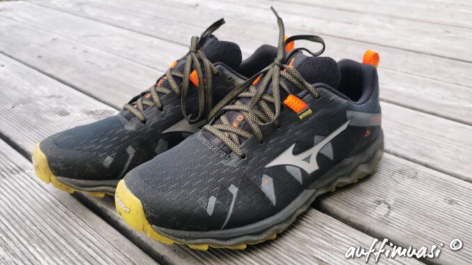 Mizuno, Wave, Daichi, running, laufen, trailrunning