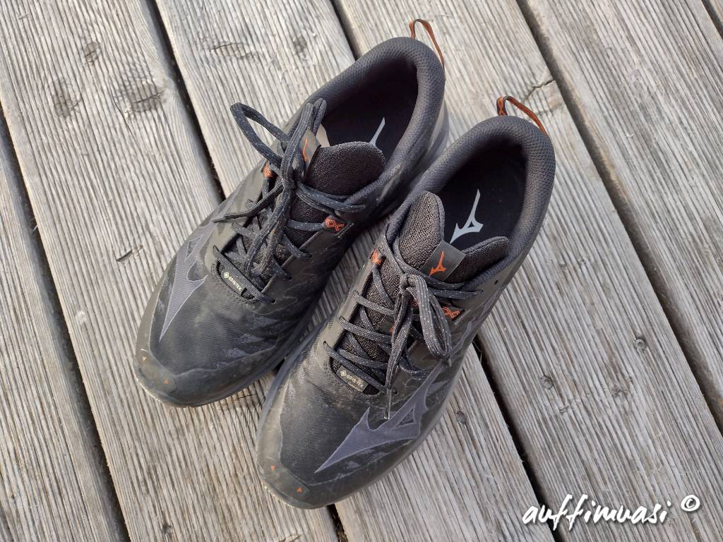 mizuno, dichi, running, laufen, trailrunning