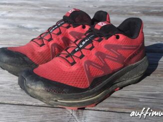 pulsar, salomon, trail, review, test, trailrunning