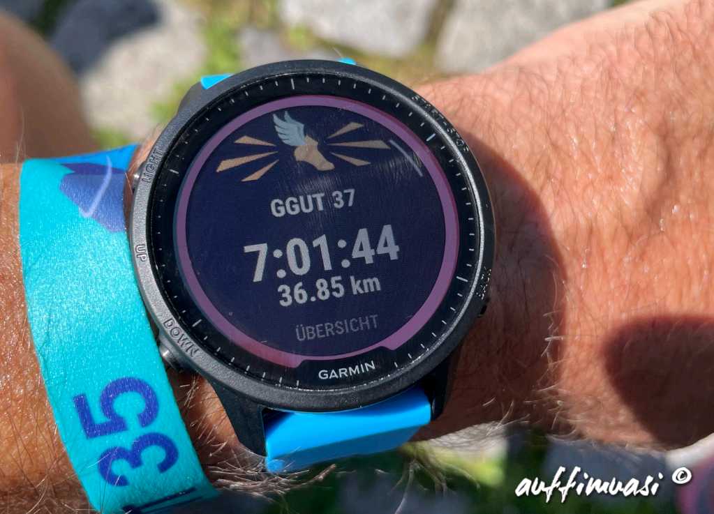 garmin, forerunner, 955, review, test