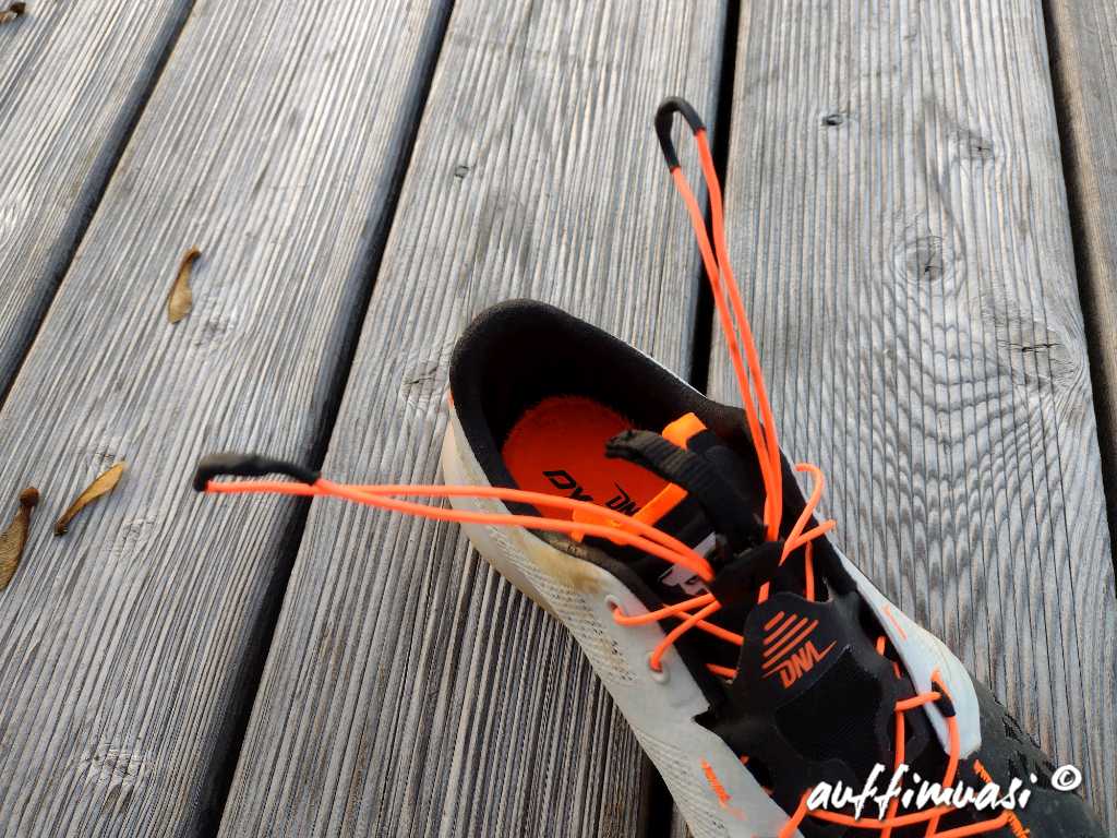 dynafit, sky, dna, schuh, shoe, review, test