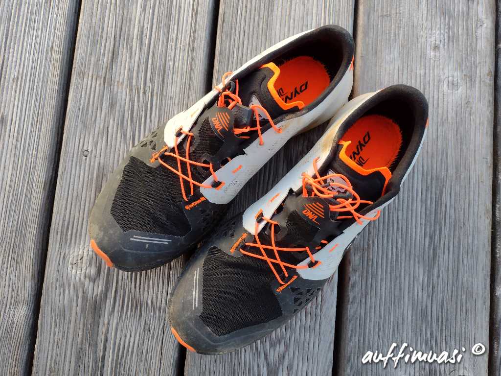 dynafit, sky, dna, schuh, shoe, review, test