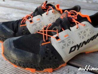 dynafit, sky, dna, schuh, shoe, review, test